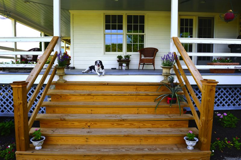 Outdoor Stairs Painting in Longmont, CO
